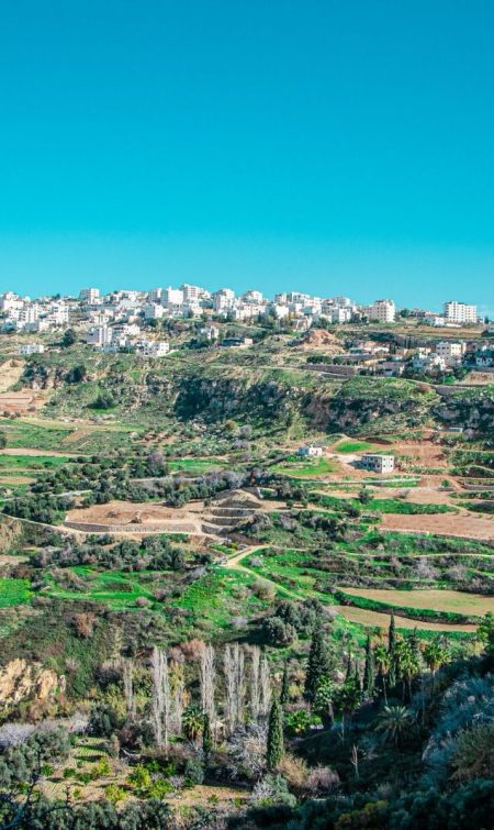 WhatsApp Image 2024-01-21 at 8.29.42 AM WhatsApp Image 2024-01-21 at 8.29.42 AM